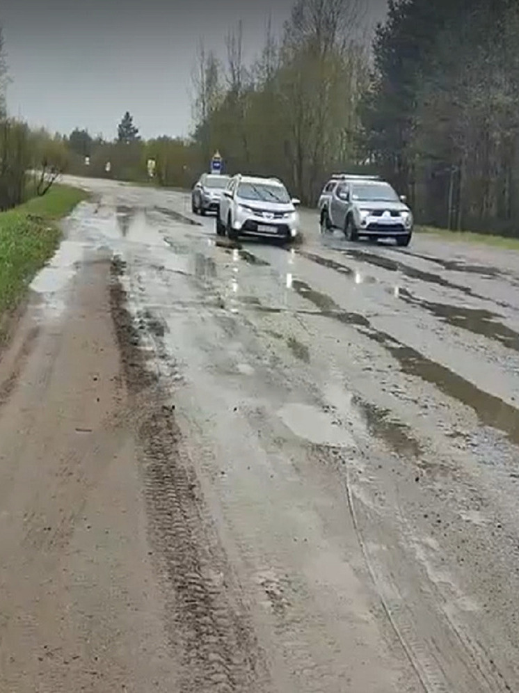 В Тверской области на дороге под лужами нашли неприятные сюрпризы