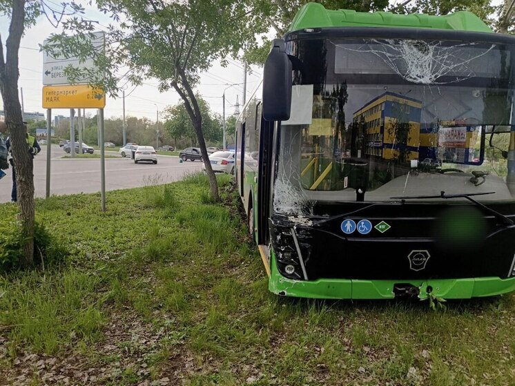 В Оренбурге пассажирский автобус врезался в дерево