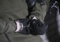 Правоохранители возбудили уголовные дела о государственной измене против двух жителей Севастополя, подозреваемых в сотрудничестве с СБУ