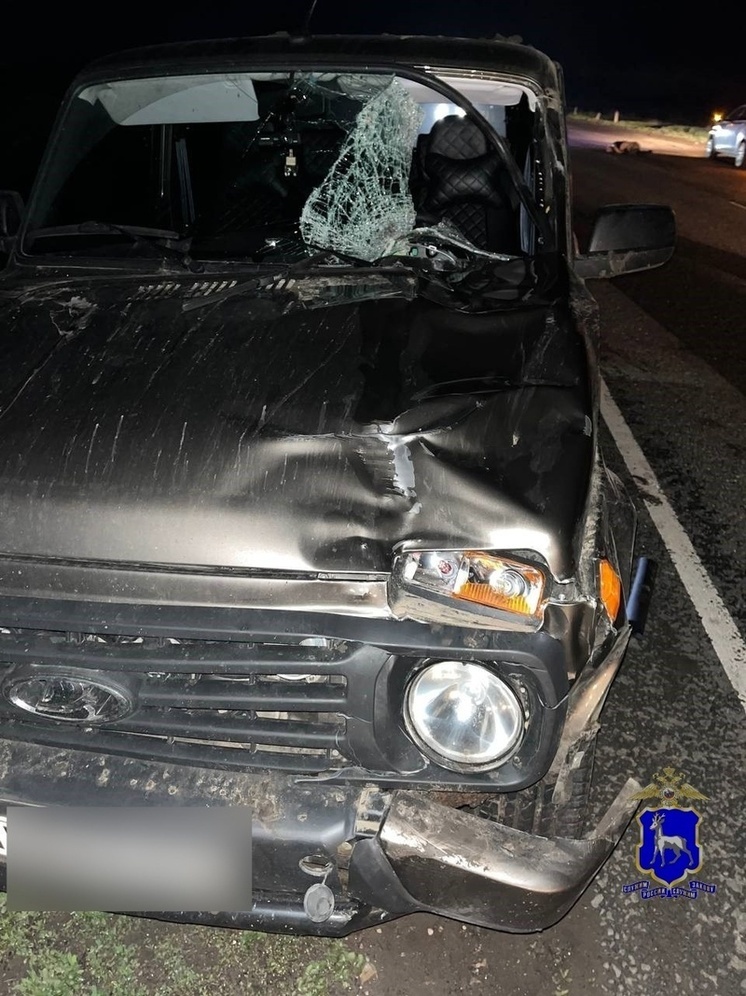 Под Самарой 27-летний водитель LADA Niva насмерть сбил 53-летнего мужчину 14 мая
