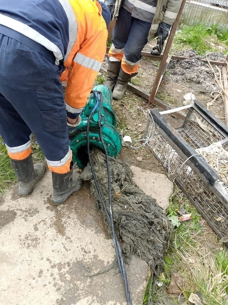 В Твери коммунальщики показали канализационного монстра