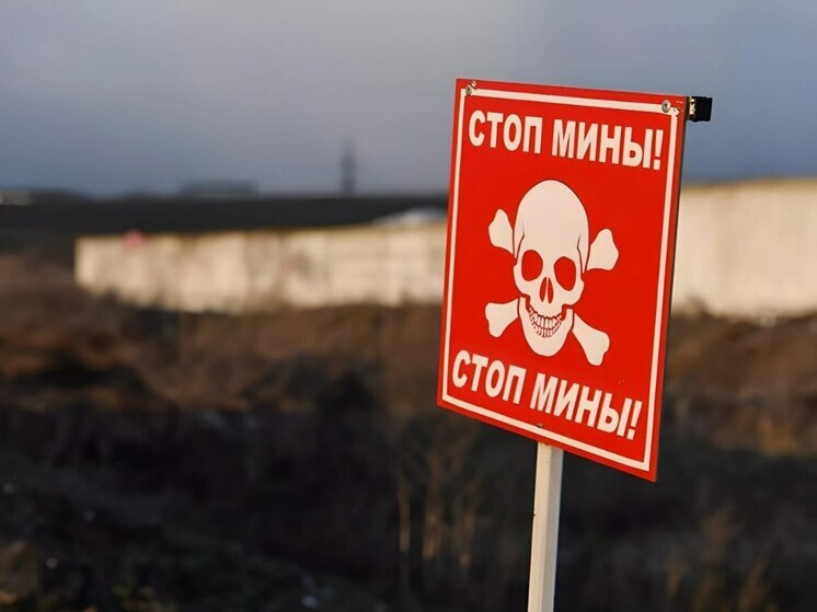 Хинштейн: в Курской области обезвредили почти 400 тысяч взрывоопасных предметов
