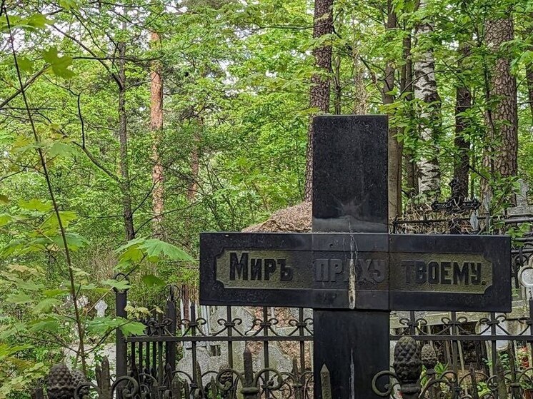 Похищения барельефов на Северном кладбище Петербурга возобновились