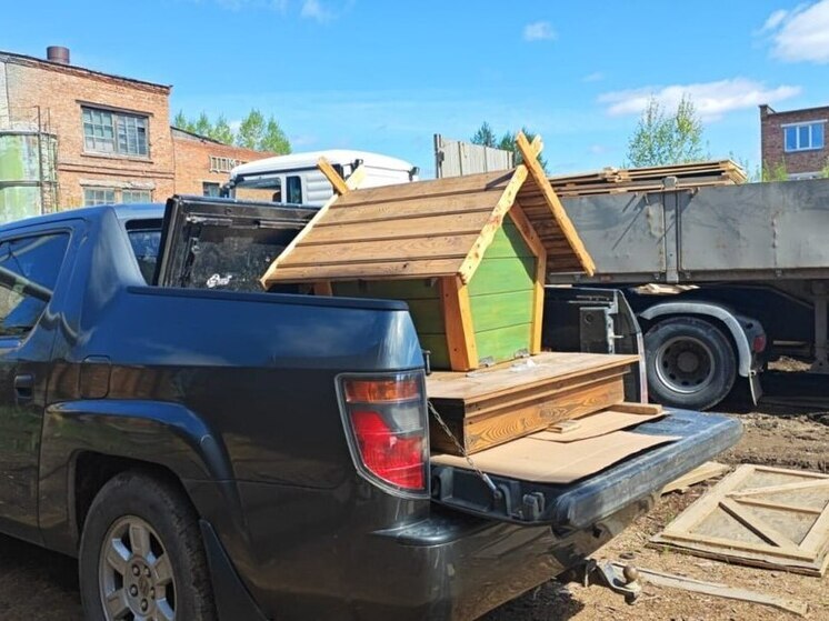 На Университетском озере Томска установили новые плавучие домики для уток