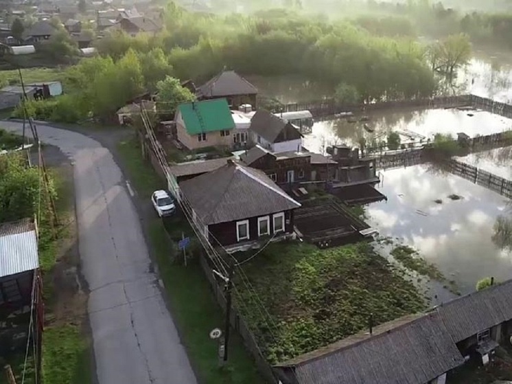 Фермеров Хакасии попросили срочно вывезти скот в безопасные места