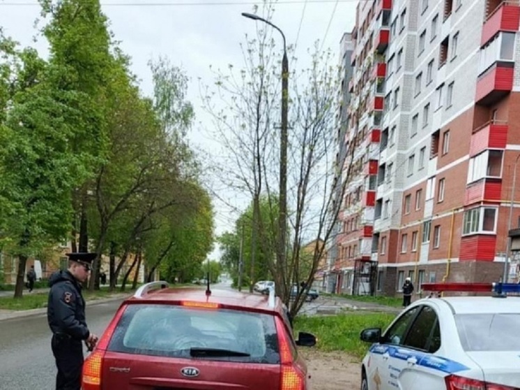 В Великих Луках искали непристёгнутых детей