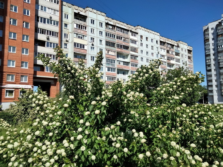 Метеорологи бьют тревогу: этим летом россиян ждут рекордная жара и стихийные бедствия - новый прогноз