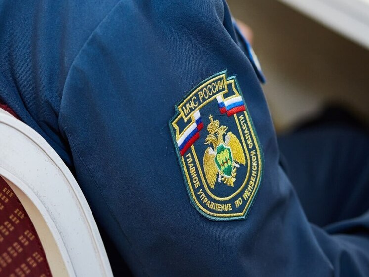 В Пензенской области за сутки ликвидировано четыре пожара
