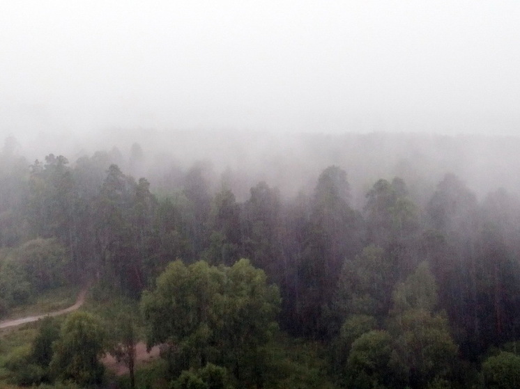 «Заморозки погубят все посадки»: Вильфанд дал прогноз на вторую половину мая - температура упадет до минусовой