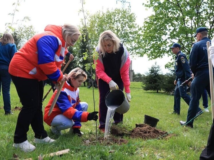 В центре внимания: лекарственное обеспечение и «Месяц чистоты» в Серпухове