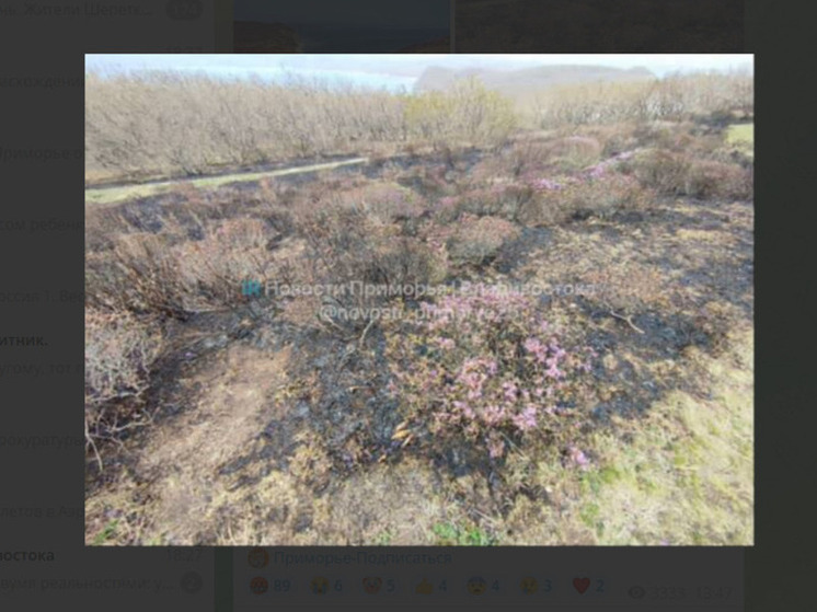 Главное украшение популярного туристического места уничтожили неизвестные в Приморье