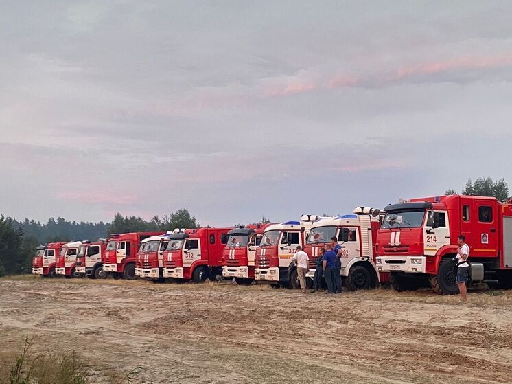 Особый противопожарный режим официально отменили в Рязани