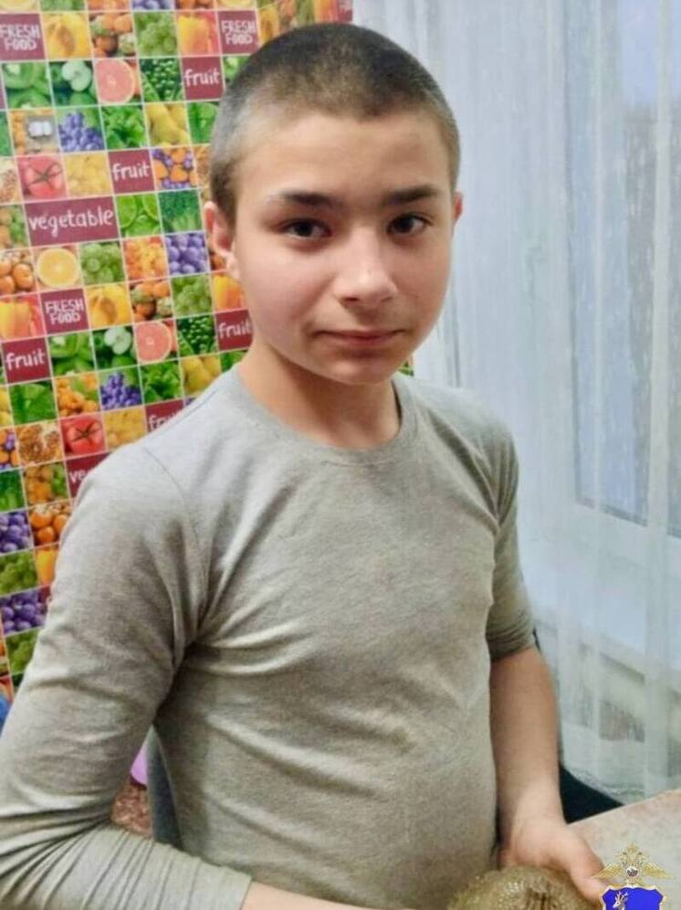 В Самарской области разыскивают пропавшего 13-летнего подростка из села Печинено