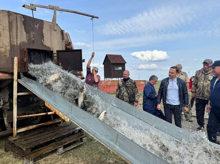 В Ростовской области в реку Маныч выпустили 4 тонны белого толстолобика
