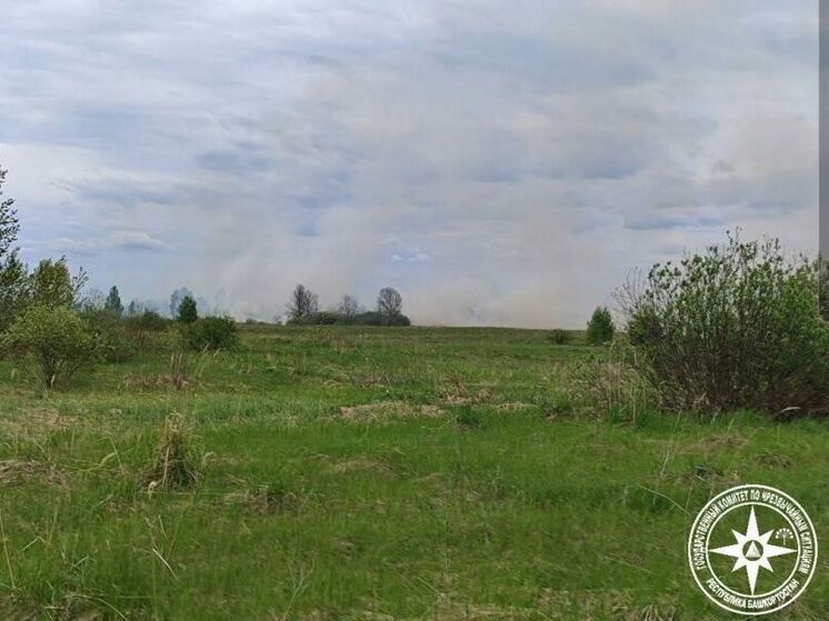 За сутки в Башкирии случилось два ландшафтных пожара