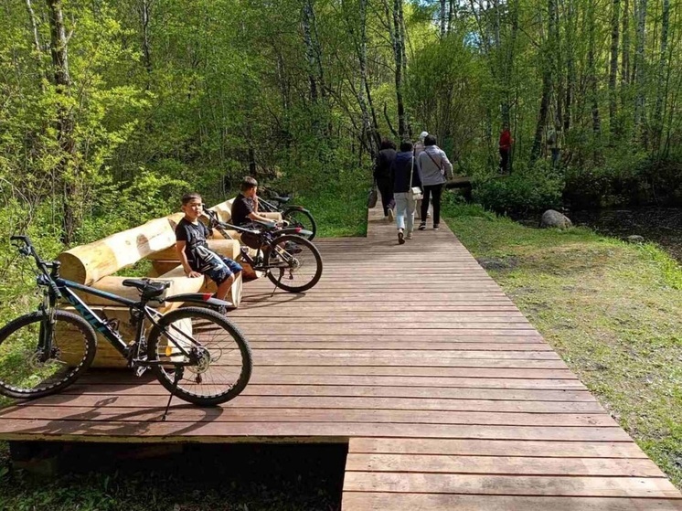 Жители Приангарья могут оценить проекты НКО, поддержанные Фондом президентских грантов