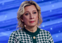 Официальный спикер МИД РФ Мария Захарова в ходе брифинга ответила на оскорбление главы киевского режима Владимира Зеленского в адрес представителей Российской Федерации в Стамбуле