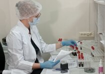 В прошлом году в Алтайском крае зафиксировали снижение заболеваемости ВИЧ-инфекцией