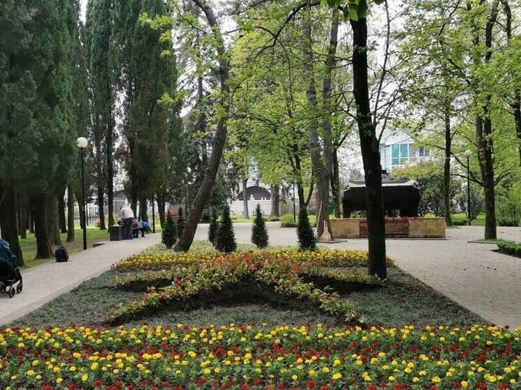 В Адлере началась высадка цветочных композиций