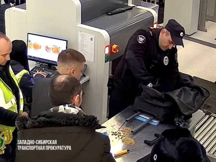 В Новосибирской области вынесен приговор по делу о покушении на контрабанду самородного золота