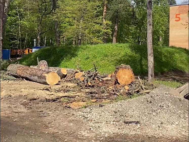 В Калуге создают реабилитационный центр для участников СВО