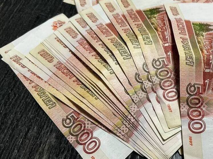 Алтайские депутаты «анонимно» отчитались о доходах за 2024 год