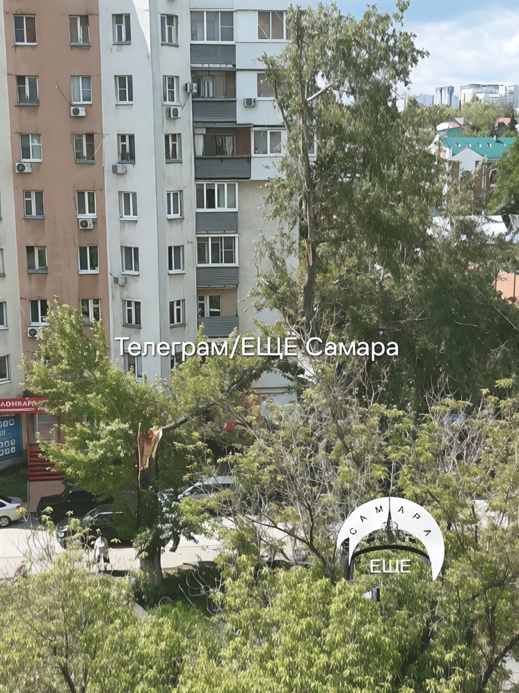 Движение по перекрестку Кирова и Нагорной в Самаре перекрыли из-за дерева