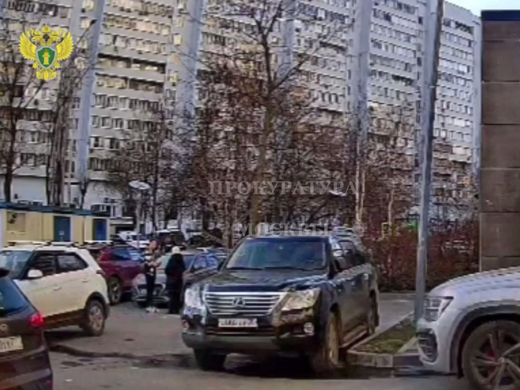 Москвич помешал курьеру мошенников забрать у пенсионерки 540 тысяч рублей