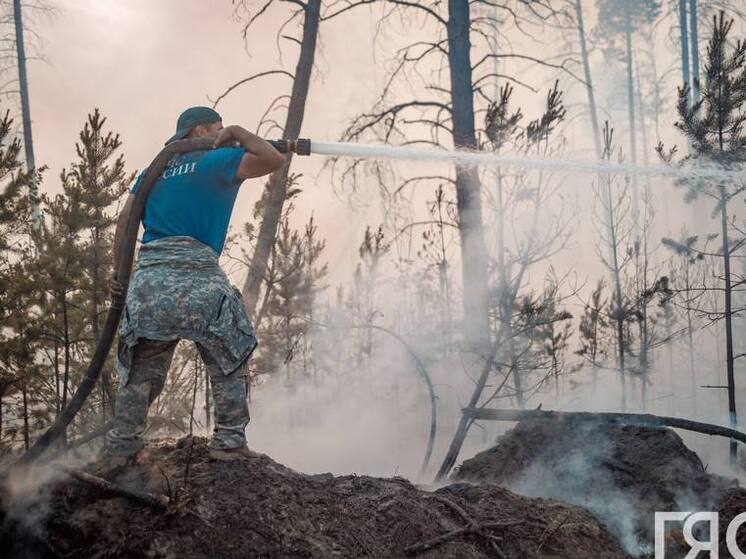 Основной причиной возгораний в Якутии стали сельхозпалы