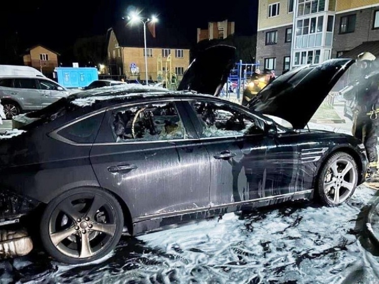 Полицейские задержали граждан Санкт-Петербурга, которых подозревают в поджоге автомобиля псковича