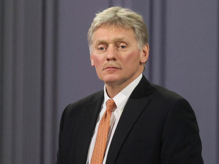 Песков: вопрос о встрече Путина и Трампа в Стамбуле предметно не поднимался