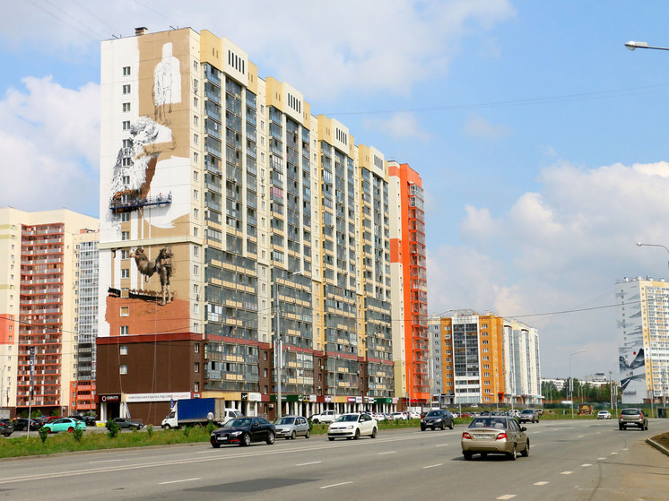 Новые муралы украсят дома Челябинска
