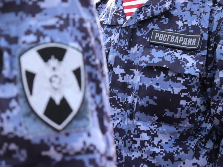 Сотрудники вневедомственной охраны Росгвардии в Республике Марий Эл подвели итоги оперативно-служебной деятельности за апрель 2025 года