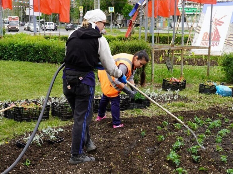 Оренбург утопает в цветах: городские клумбы преображаются