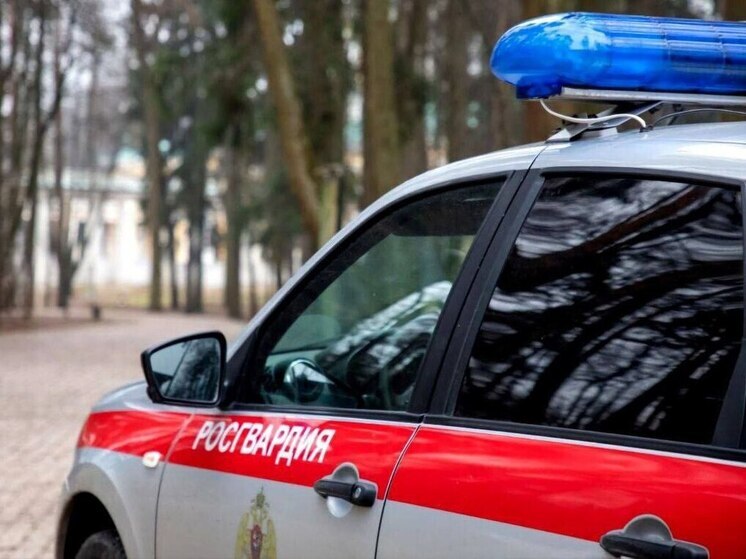 Подозреваемого в краже задержали росгвардейцы в Подмосковье
