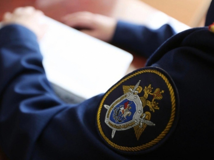 СК возбудил дело против 16-летнего жителя Тулы за сбыт наркотиков