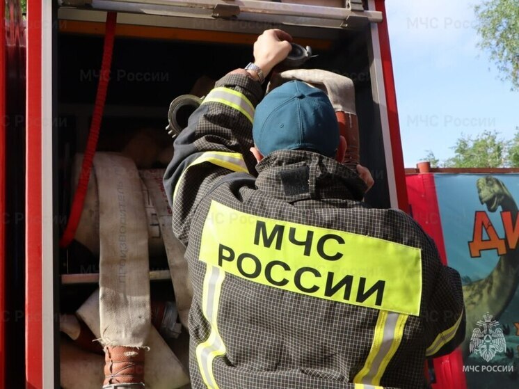 В Матвеевском районе огнем уничтожены дом и хозпостройки