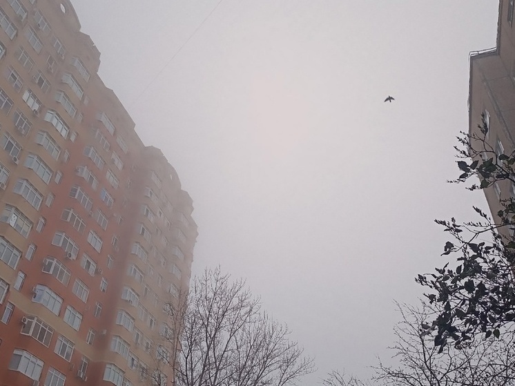 В Оренбуржье МЧС предупреждает о заморозках