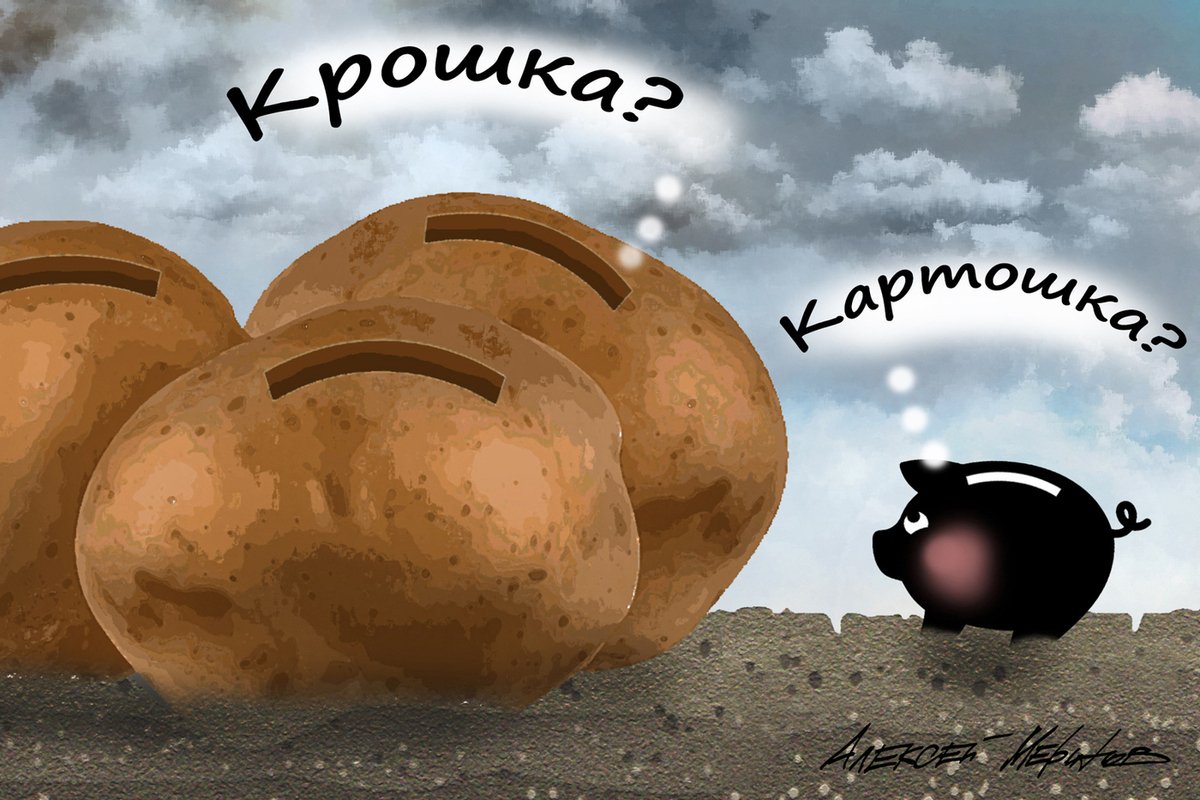 Цены на «второй хлеб» продолжают расти рекордными темпами: названы причины