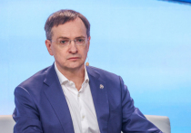 Глава делегации Российской Федерации Владимир Мединский заявил: "Мы рассматриваем эти переговоры как продолжение мирного процесса в Стамбуле (2022 года)"