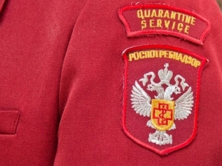 Волгоградцев волнует профилактика клещевых инфекций