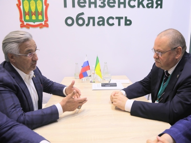 Олег Мельниченко встретился с заместителем премьер-министра Республики Татарстан
