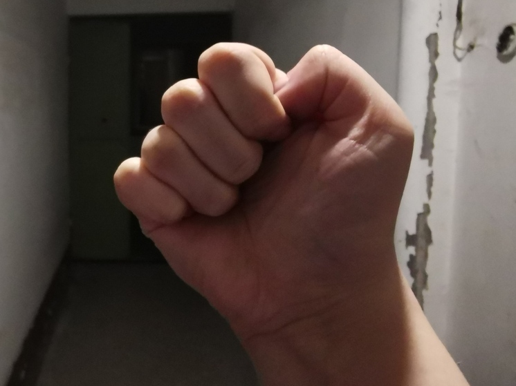 Мужчина арестован за нападение на полицейского в селе Красный Кут