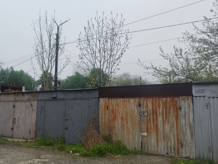 Горожане требуют освободить собаку-заложника в одном из гаражей Владивостока: адрес