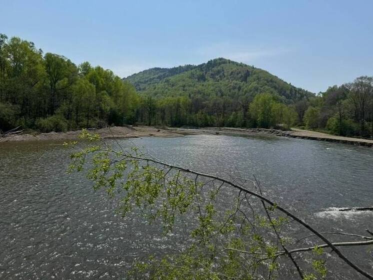 Русло реки Светлая для защиты от паводков изменят в Приморье