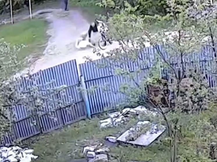 В Нижнем Новгороде домашняя собака покусала 11-летнюю девочку