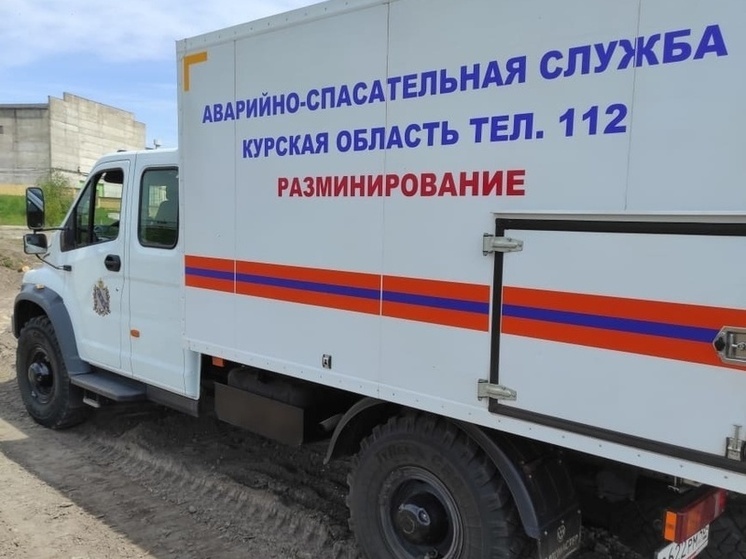 В Пристенском районе Курской области обезвредили мину времен ВОВ