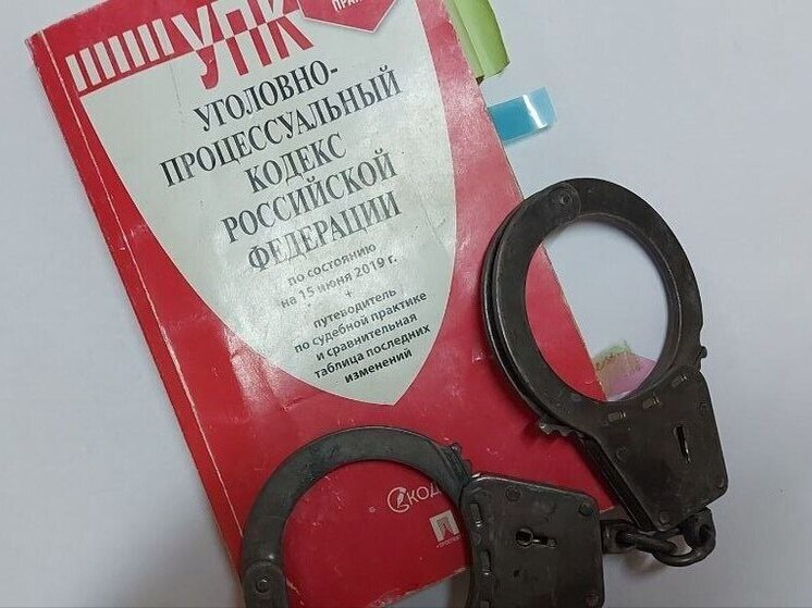 Фермер и чиновница договорились до мошенничества с выплатами в Амурской области