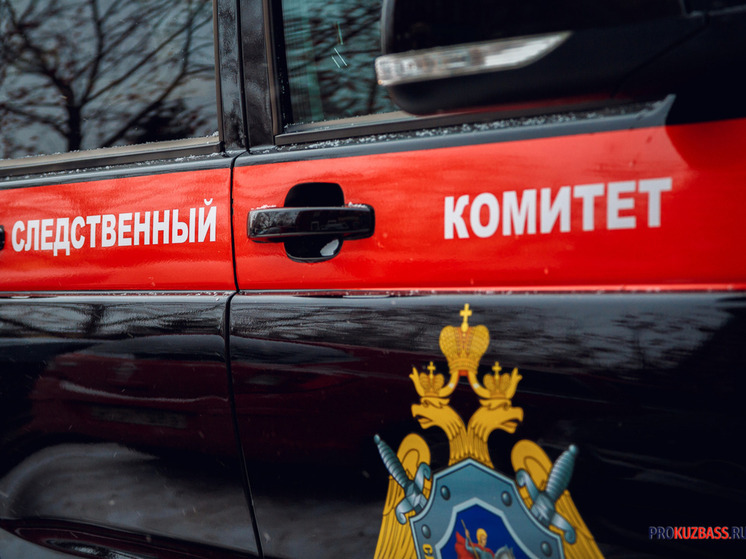 Бастрыкин поручил снова расследовать дело о пропаже сироты в Кемерове