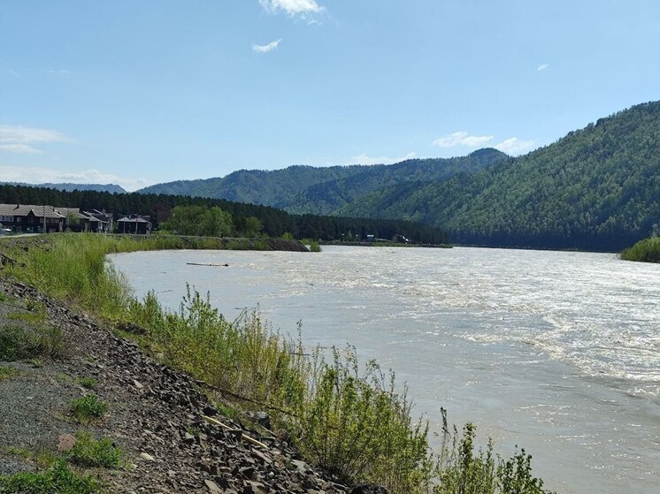 Речная вода уходит из Абазы